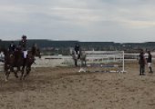Лошади тренировка-2